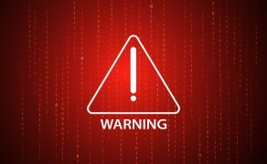 Vulnerable Plugins