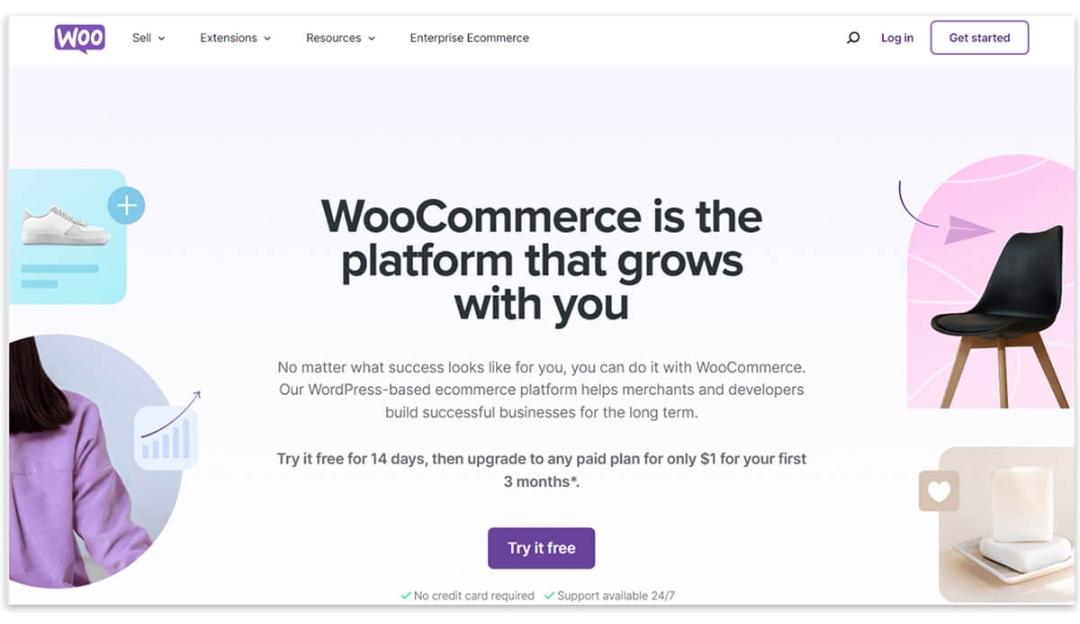 WordPress Business Site